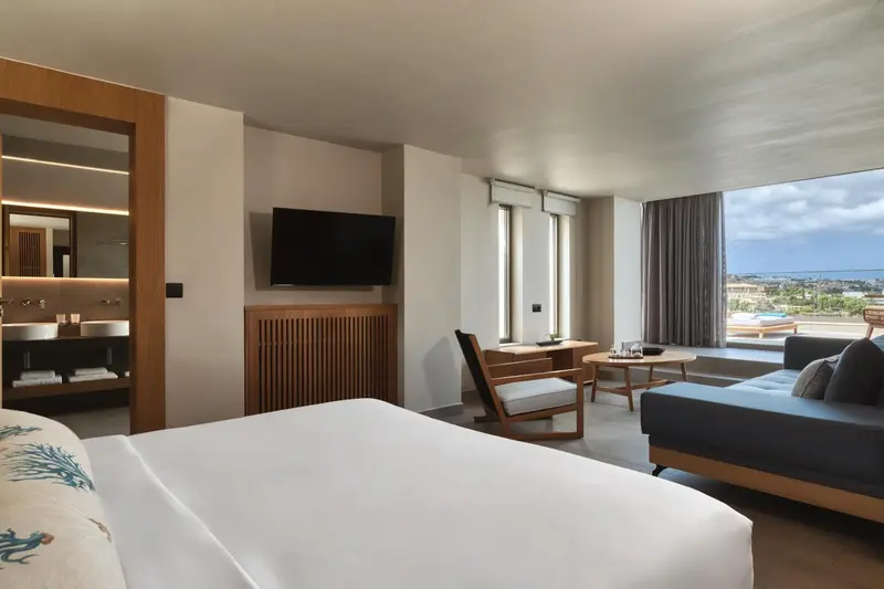 Une chambre lumineuse avec un lit, un canapé et un bureau près d'une fenêtre.
