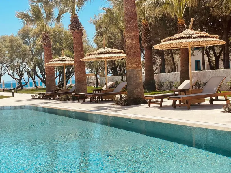 Transats et parasols à l'ombre de palmiers bordent une piscine turquoise.
