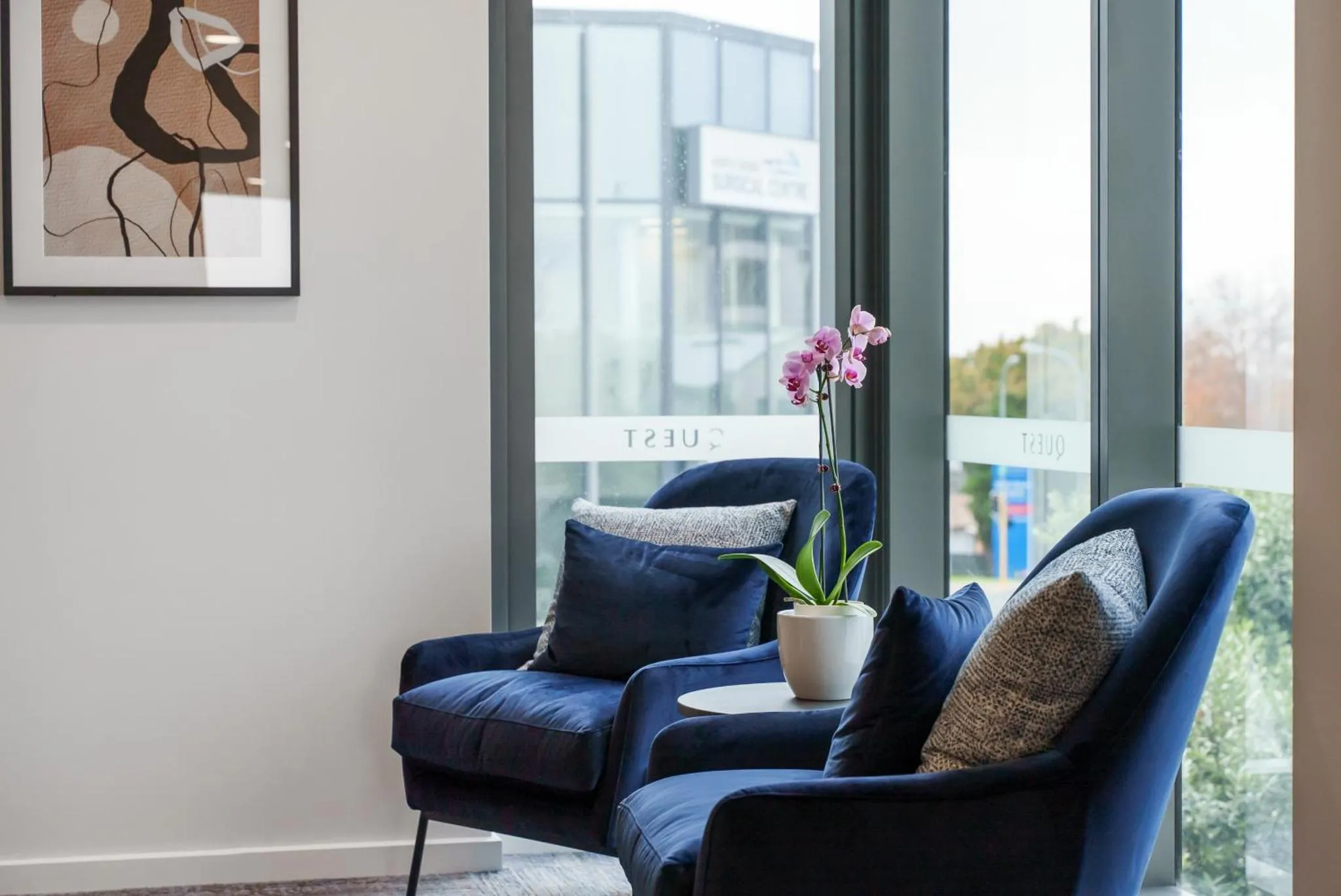 Espace de détente avec fauteuils bleus et plante ornementale près d'une fenêtre.