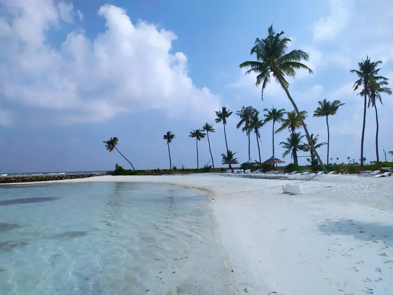 Plage de sable blanc bordée de palmiers sous un ciel nuageux.