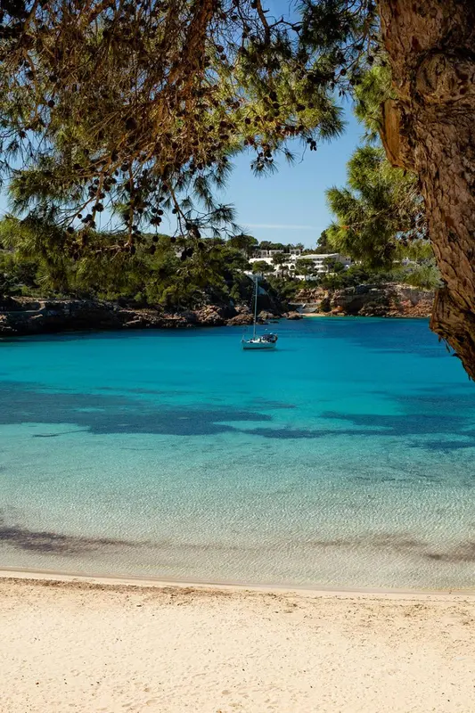 Une plage de sable fin borde une eau turquoise et limpide.