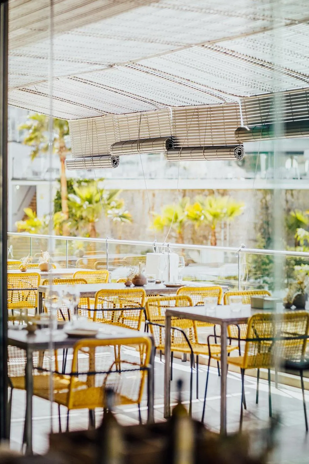 Terrasse ombragée avec tables et chaises jaunes près d'une végétation luxuriante.