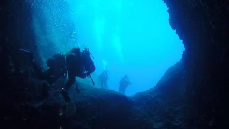 Des plongeurs explorent une grotte sous-marine illuminée par la lumière du soleil.