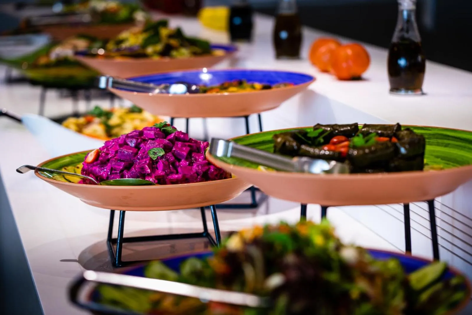 Présentation de salades et de plats variés sur un buffet.