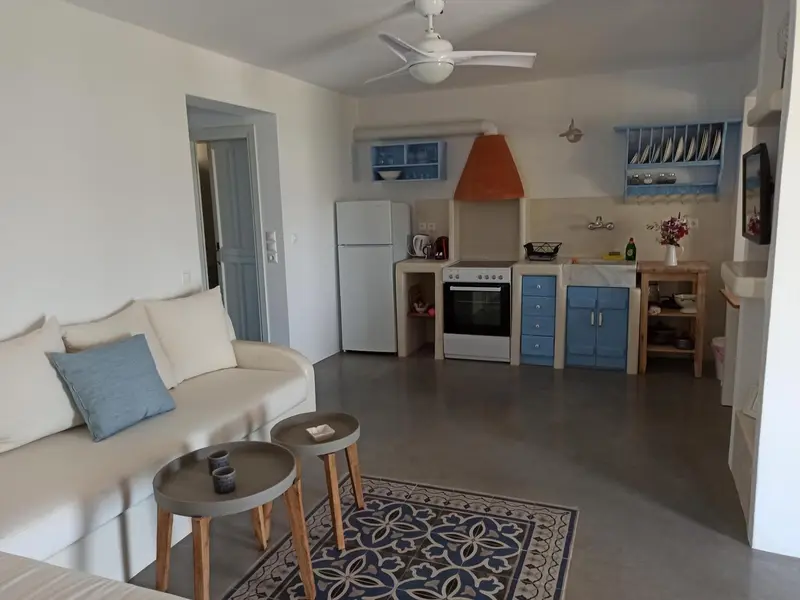 Espace de vie lumineux avec coin salon et cuisine équipée.