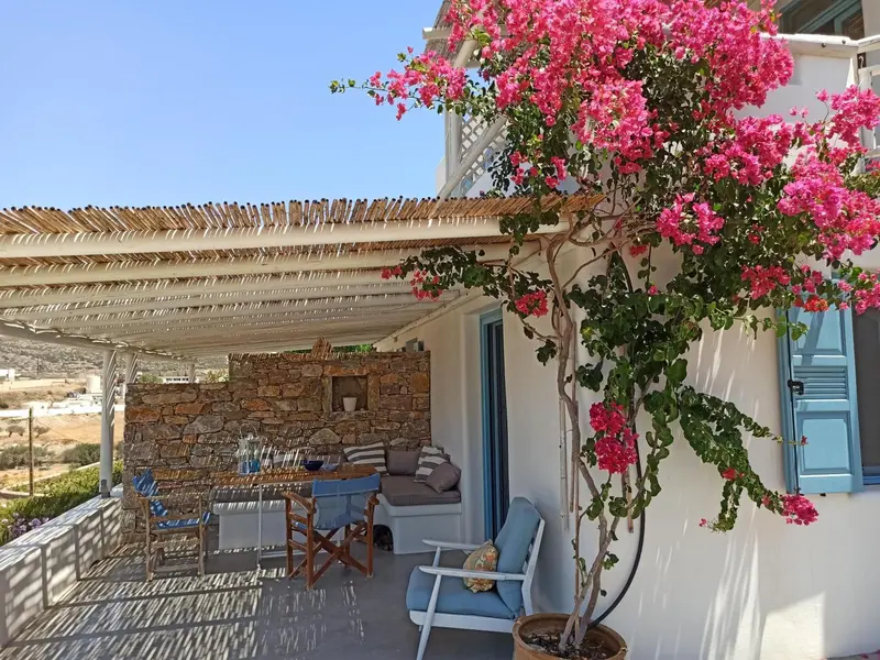 Terrasse ombragée avec mobilier d'extérieur et végétation fleurie.