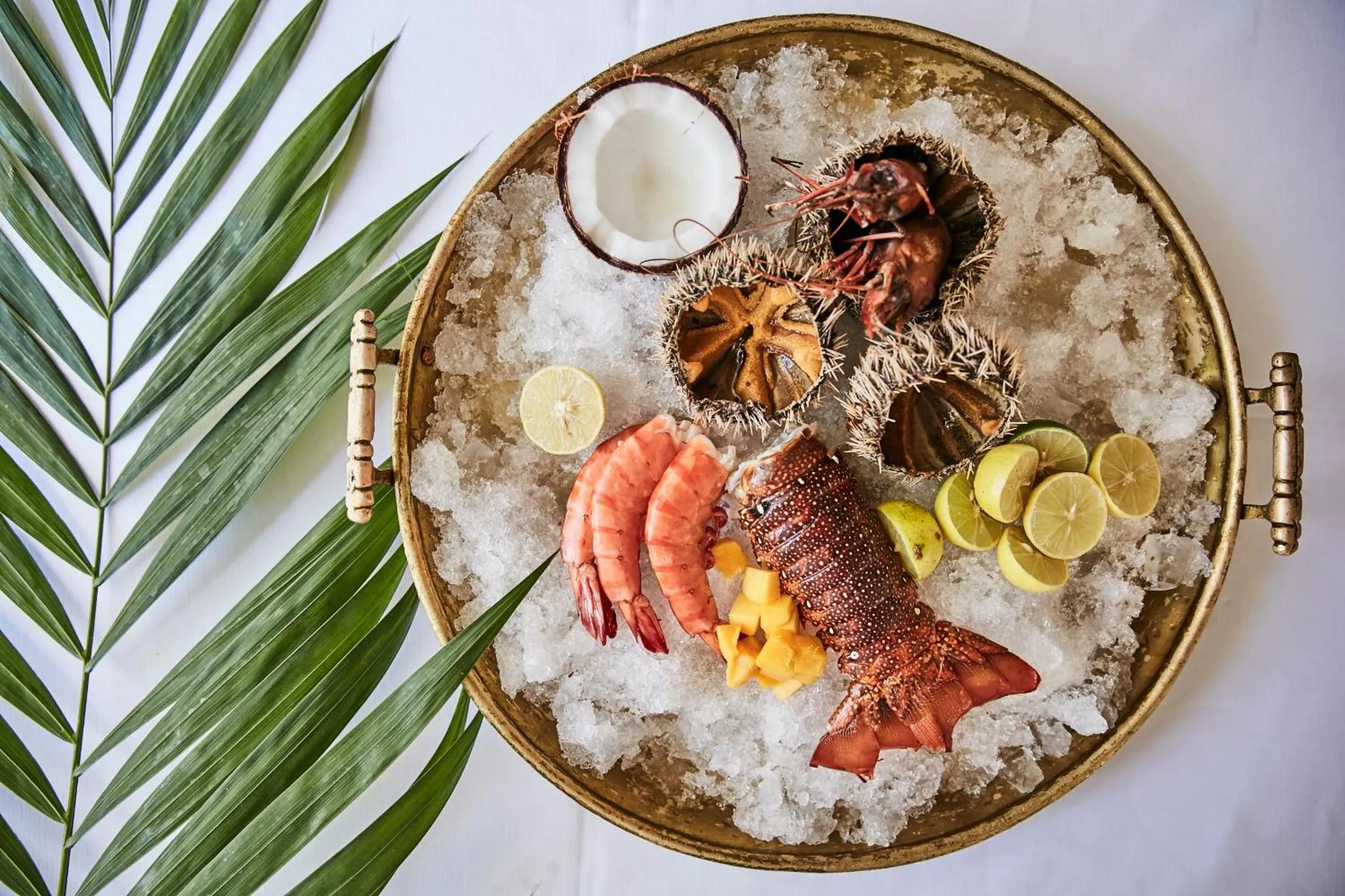 Présentation de fruits de mer frais sur un plateau en métal avec des tranches de citron vert et des mangues.