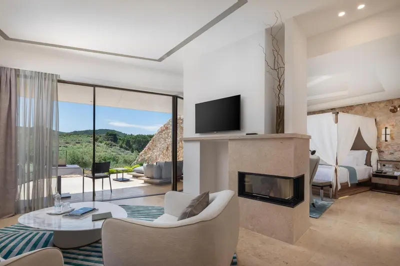 Espace de vie lumineux avec cheminée et vue sur un paysage verdoyant.