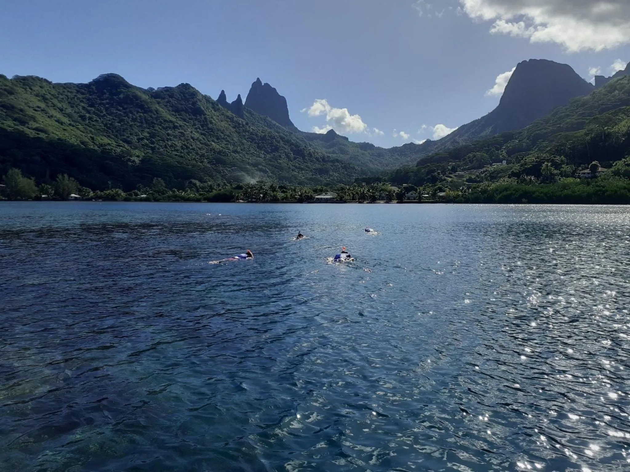 Des personnes nagent dans une eau turquoise face à des montagnes verdoyantes.