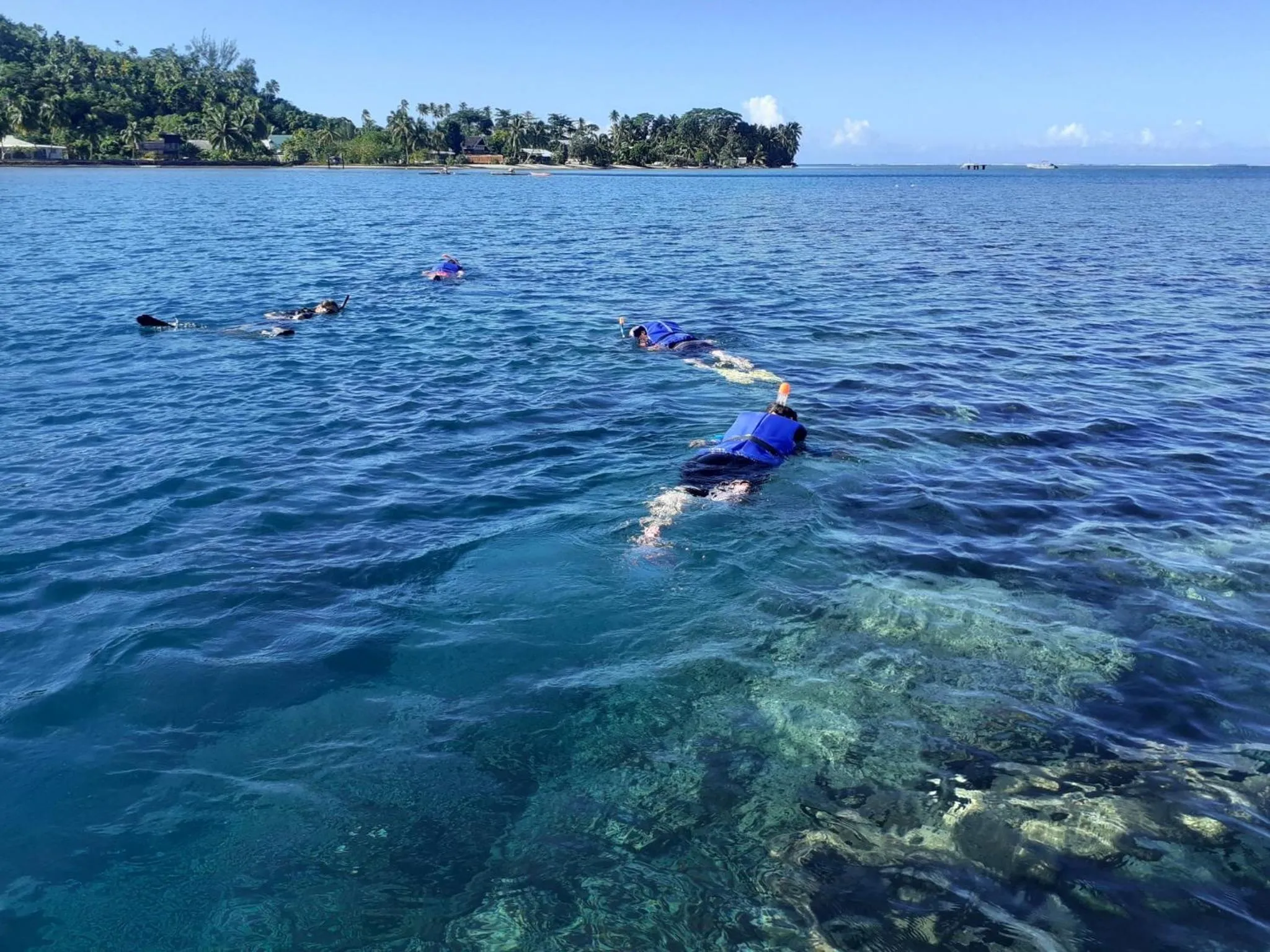 Des personnes nagent en surface dans une eau turquoise au-dessus d'un fond marin rocheux.