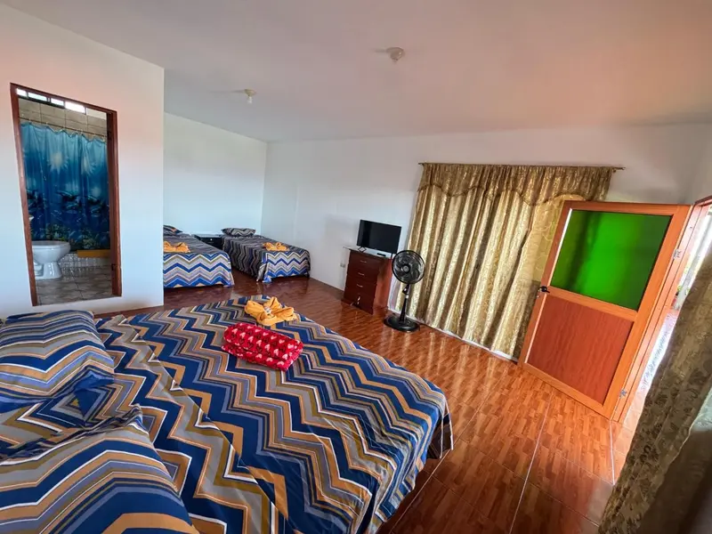Une chambre lumineuse avec deux lits et un ventilateur.
