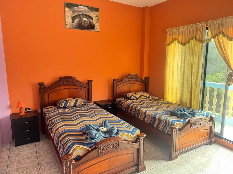Une chambre avec deux lits simples et une décoration colorée.