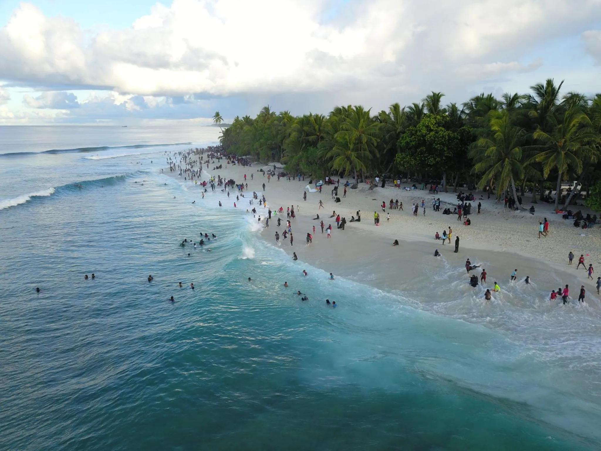 Une plage de sable bordée de palmiers, avec des personnes se baignant et se promenant.