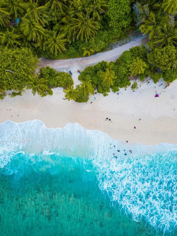 Vue aérienne d'une plage de sable blanc bordée de végétation luxuriante et d'eaux turquoise.