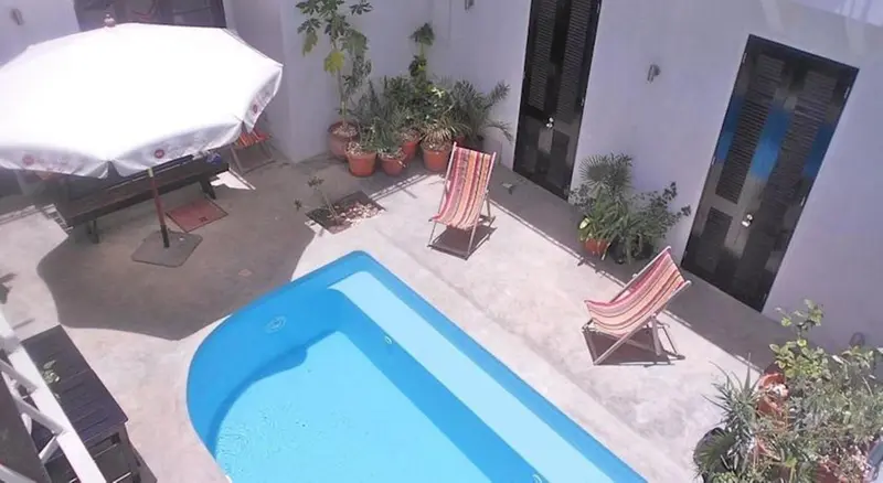 Petite piscine rectangulaire entourée de chaises longues et de plantes.