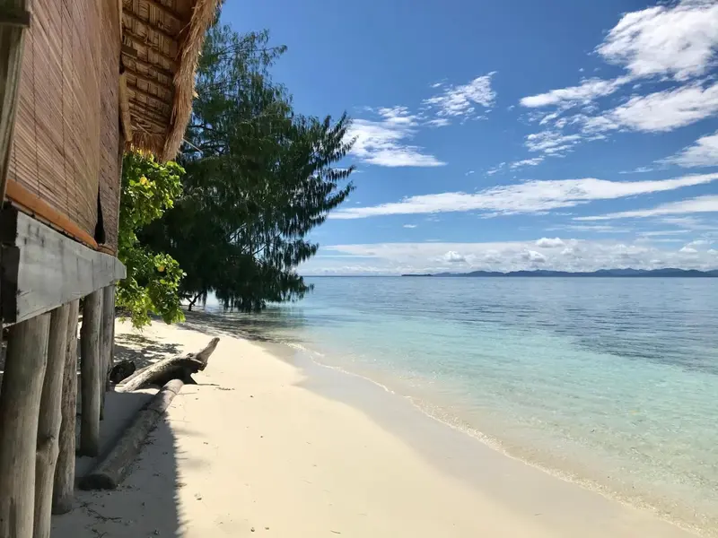 Une plage de sable blanc bordée de végétation et d'une construction en bois.