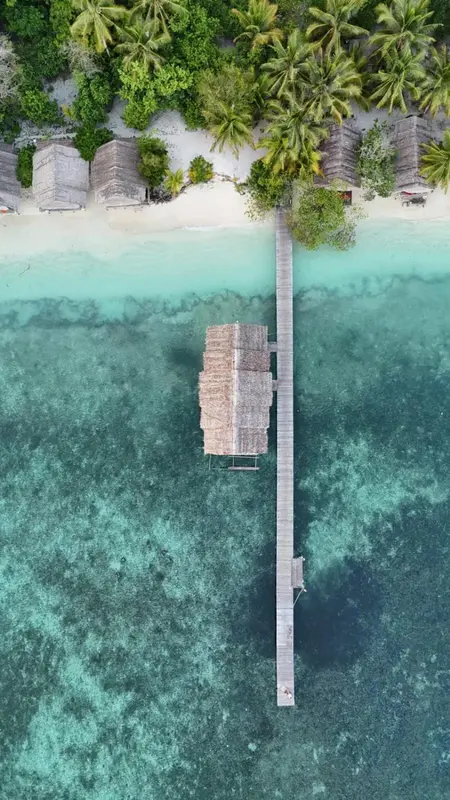 Vue aérienne d'un ponton en bois s'étendant vers la mer turquoise bordée de palmiers.