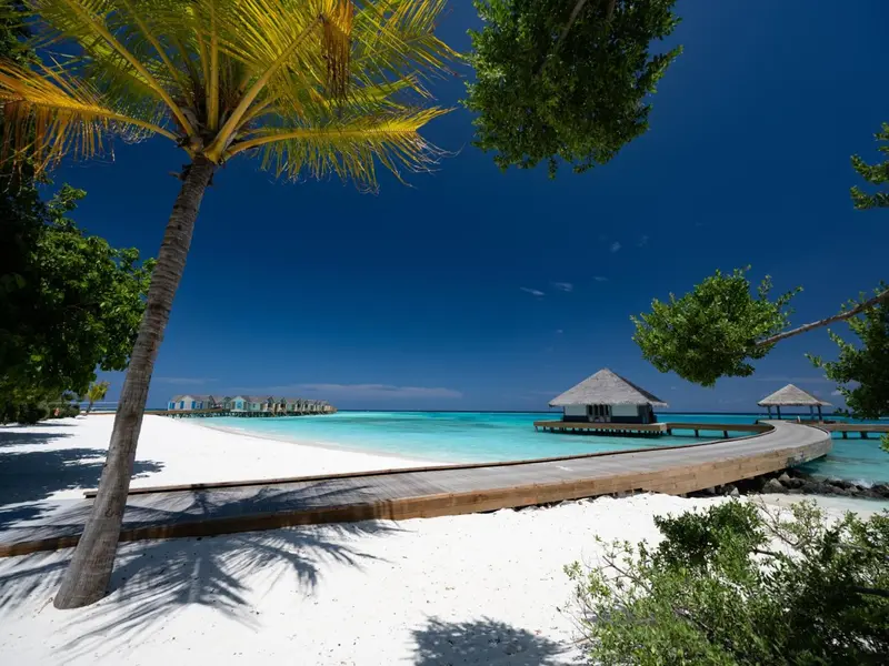 Plage de sable blanc bordée de palmiers et de bungalows sur pilotis.
