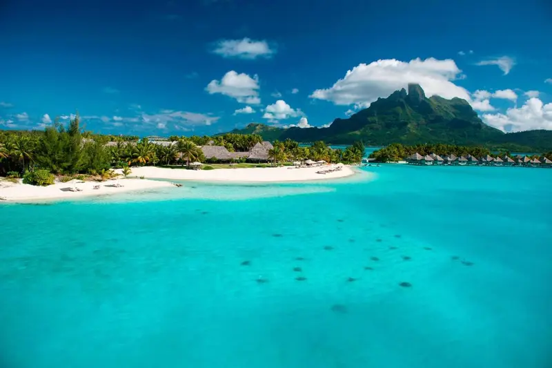 Vue aérienne d'une plage de sable blanc bordée d'eau turquoise et d'une végétation luxuriante.