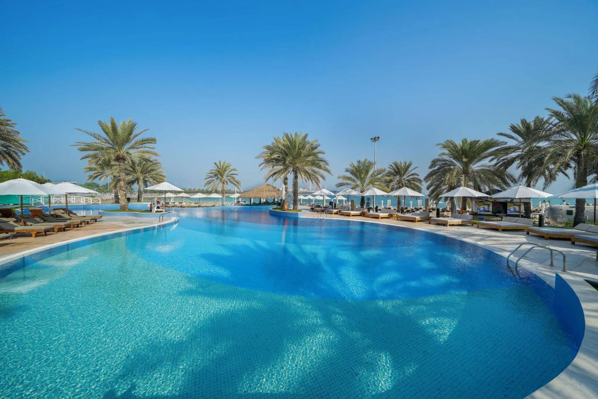 Une piscine rectangulaire bordée de transats sous des parasols, avec des palmiers en arrière-plan.