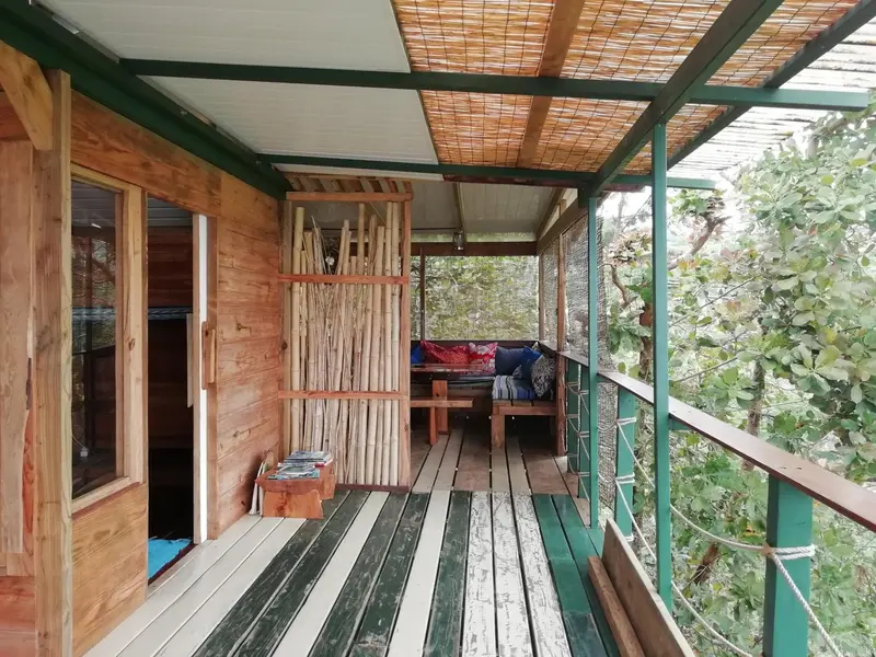Terrasse en bois avec mobilier d'extérieur et vue sur la végétation.