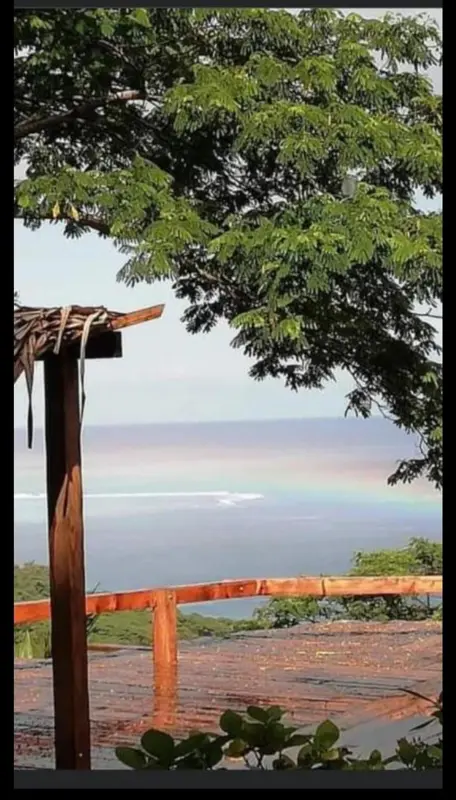 Vue sur la mer depuis une terrasse ombragée.