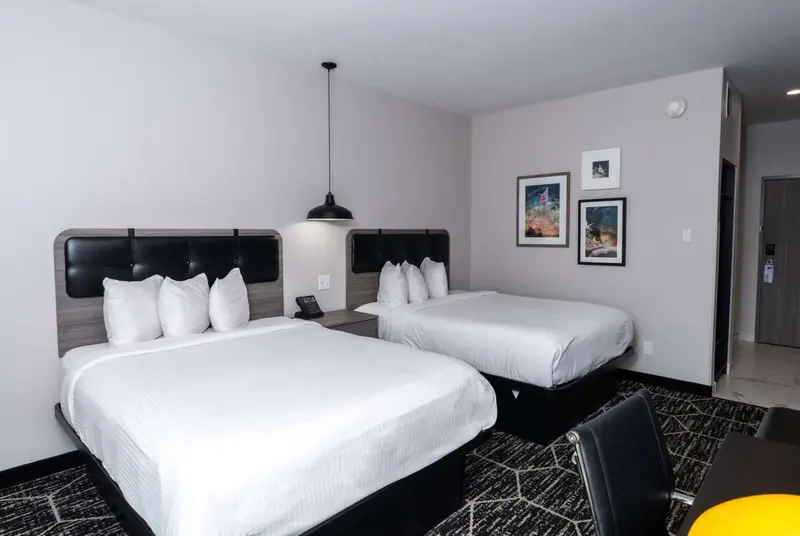 Deux lits doubles blancs avec oreillers dans une chambre d'hôtel moderne.