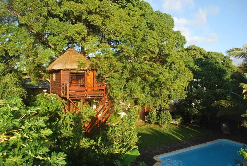 Une cabane en bois sur pilotis est nichée dans la verdure, surplombant une piscine.