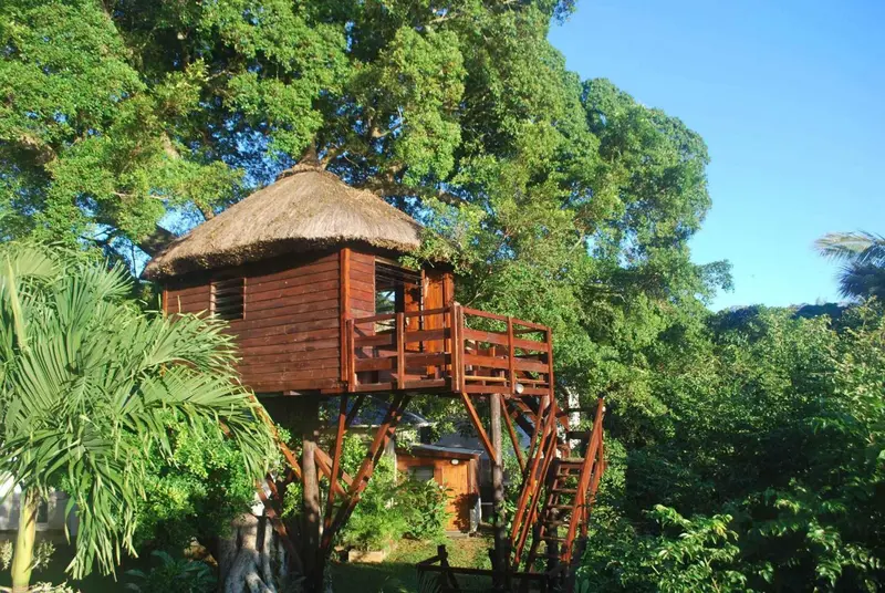 Cabane en bois sur pilotis au milieu d'une végétation luxuriante.