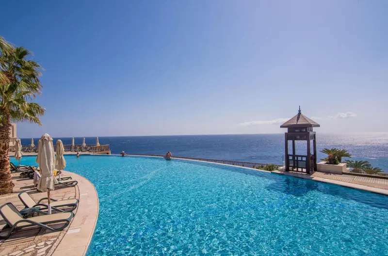 Une piscine à débordement surplombe la mer et les palmiers.