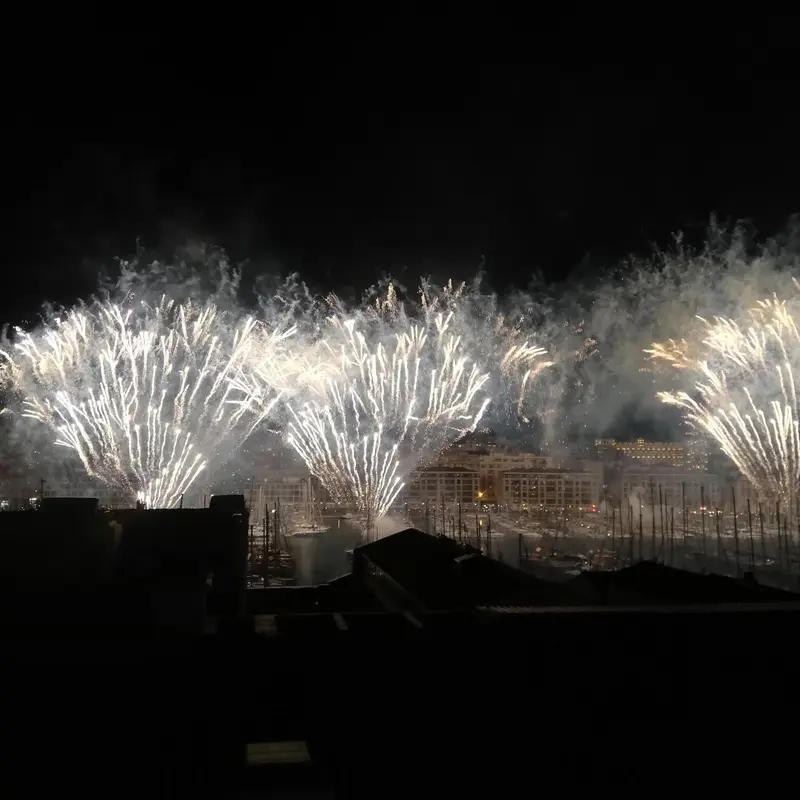 Feux d'artifice illuminant un port de plaisance nocturne.