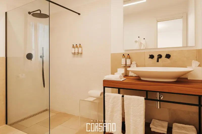 Une salle de bain moderne avec douche à l'italienne et vasque sur meuble en bois.