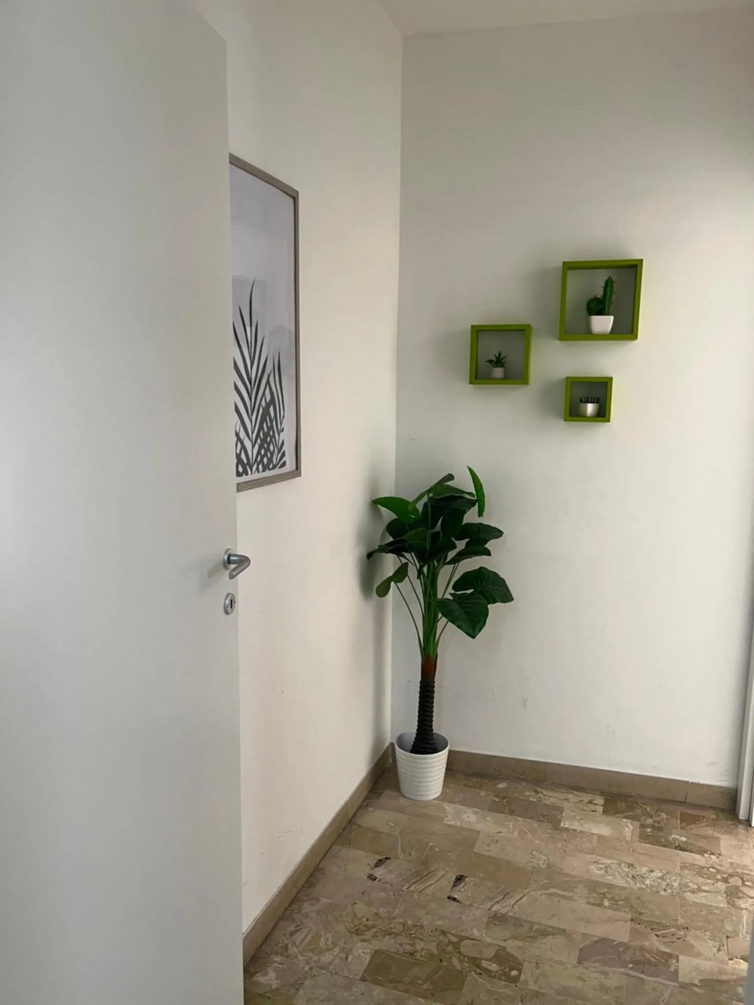 Un coin de pièce décoré de plantes et d'œuvres d'art murales.