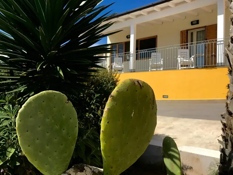 Façade jaune d'un bâtiment avec des plantes tropicales au premier plan.