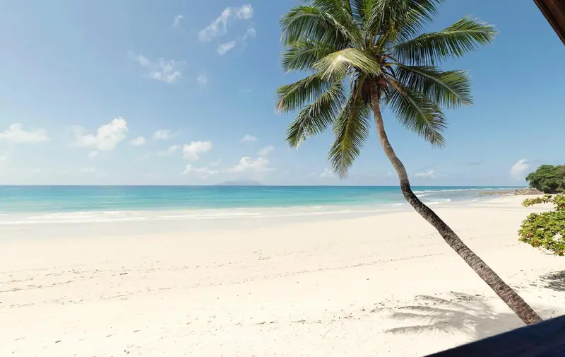 Plage de sable blanc bordée de palmiers sous un ciel bleu.