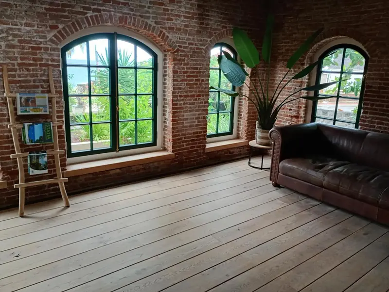 Espace de détente lumineux avec canapé en cuir et plantes vertes.