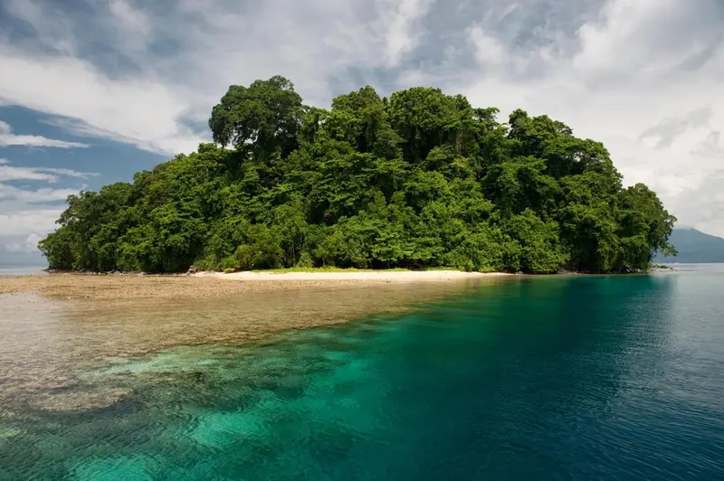 Une île tropicale verdoyante émerge de l'eau turquoise.