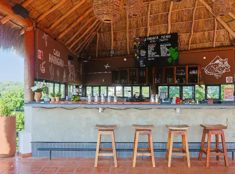 Un bar extérieur avec un comptoir en bois et des tabourets, sous un toit de chaume.