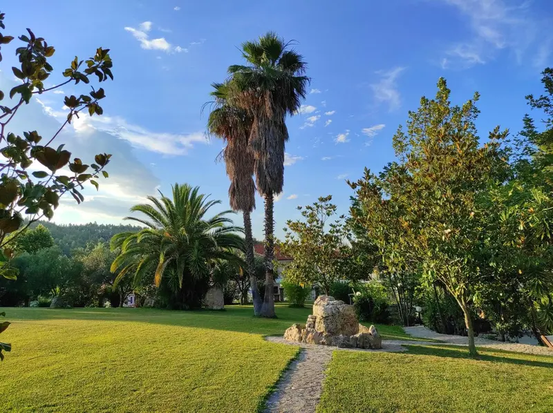 Un jardin verdoyant avec des palmiers et un sentier.