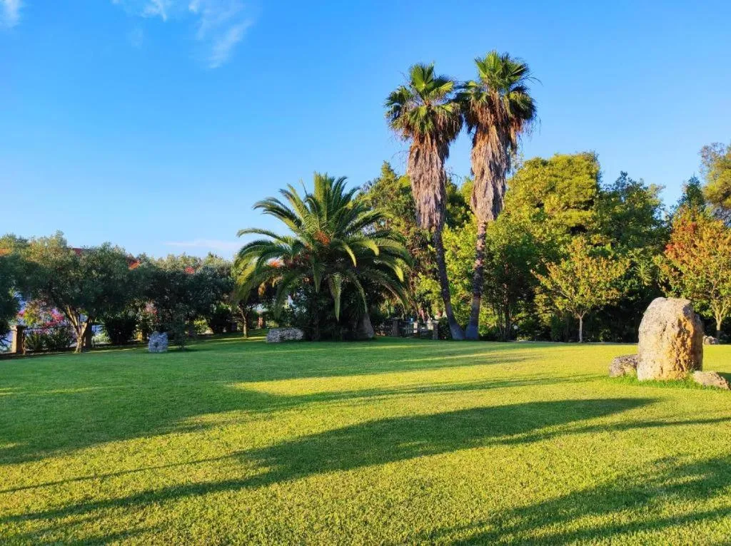 Pelouse verte ombragée par des palmiers et des arbres, avec un ciel bleu clair.