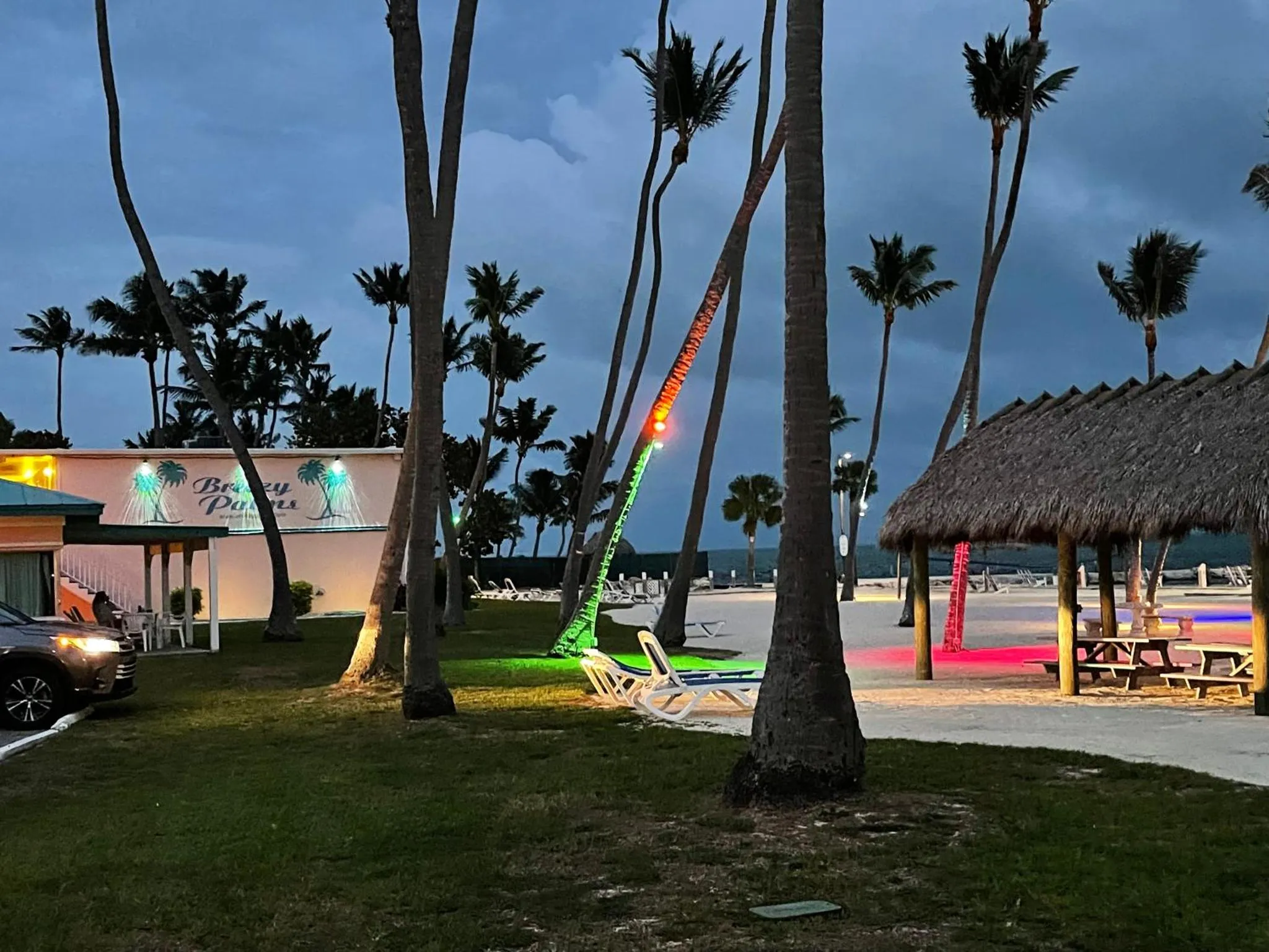 Palmiers illuminés bordent une plage de sable blanc avec des transats.