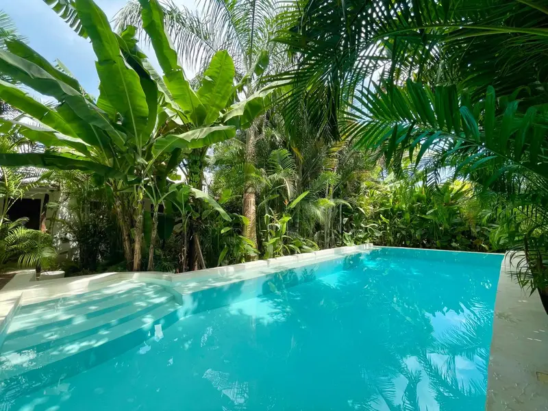 Une piscine rectangulaire turquoise est entourée d'une végétation tropicale luxuriante.