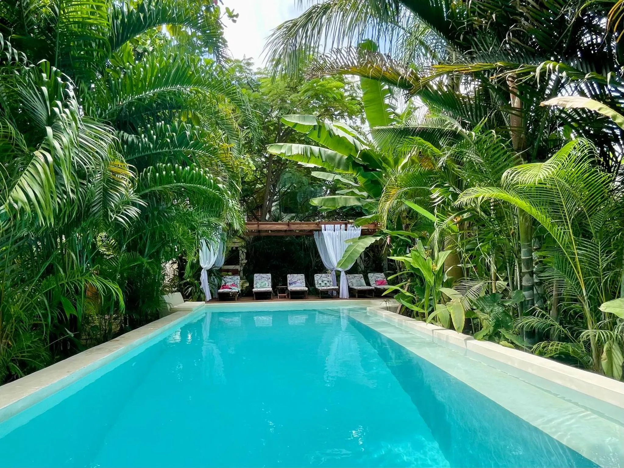 Une piscine rectangulaire turquoise bordée de végétation luxuriante et de transats.