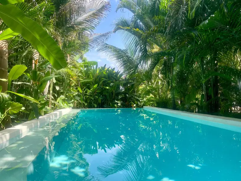 Une piscine rectangulaire turquoise est entourée d'une végétation tropicale luxuriante.