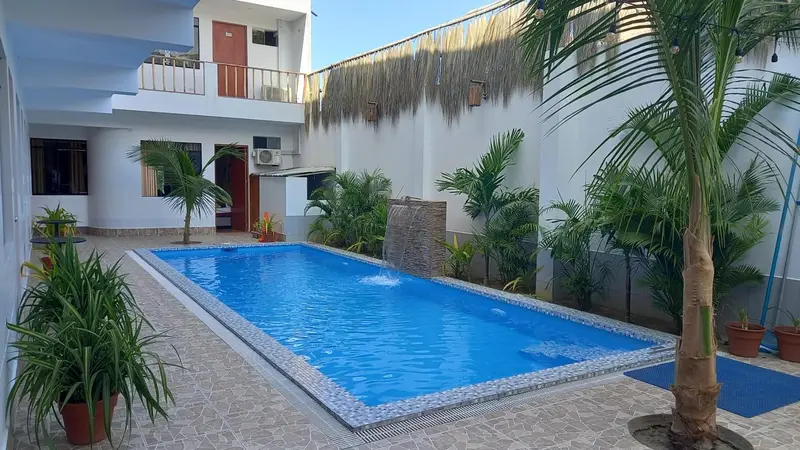 Une piscine rectangulaire entourée de végétation et de palmiers.