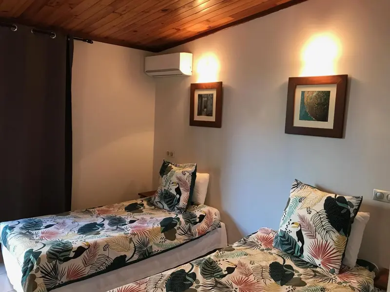 Une chambre avec deux lits simples et des oreillers décorés.