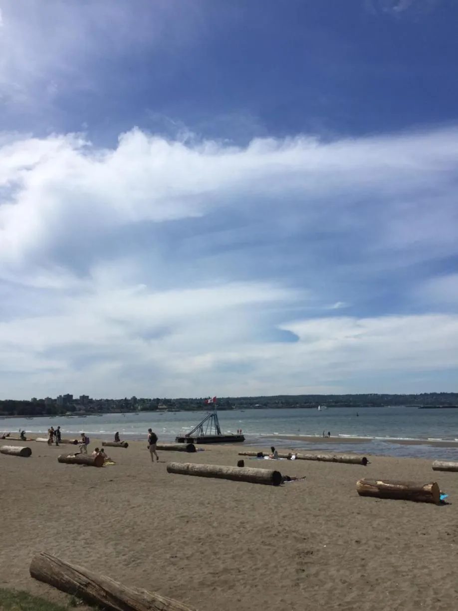 Une plage de sable avec des troncs d'arbres et des personnes se relaxant au soleil.