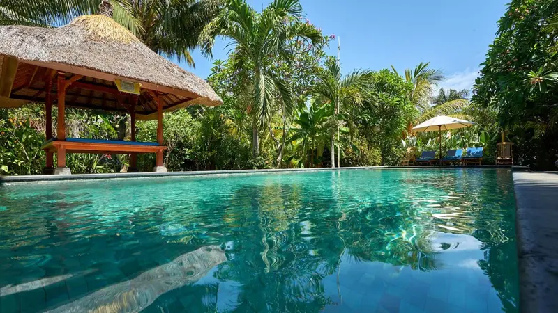 Une piscine rectangulaire turquoise bordée d'une terrasse en bois et d'une végétation luxuriante.