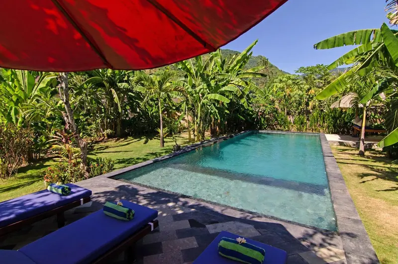 Une piscine rectangulaire bordée d'une terrasse ensoleillée et de végétation luxuriante.