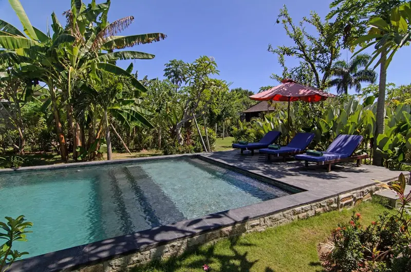 Transats bleus disposés autour d'une piscine rectangulaire dans un jardin tropical.